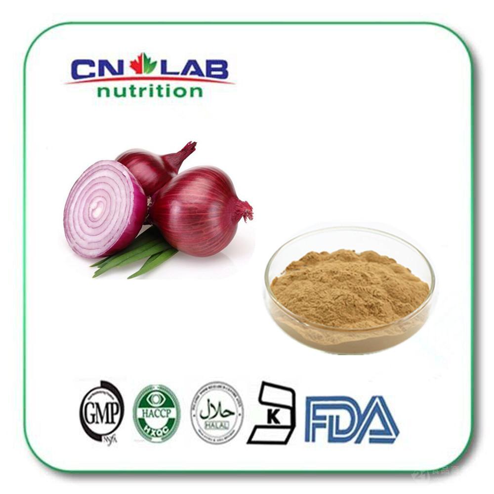 厂家供应 洋葱提取物 Onion extract 洋葱抗氧杀