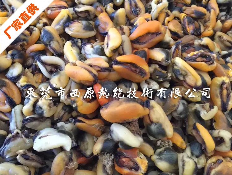 西原淡菜蚝豉干烘干机 海产品除湿干燥设备 淡菜蛤干蚝豉干烘干房