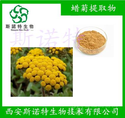 蜡菊提取物 沙生蜡菊提取物 比例提取物 斯诺特厂家