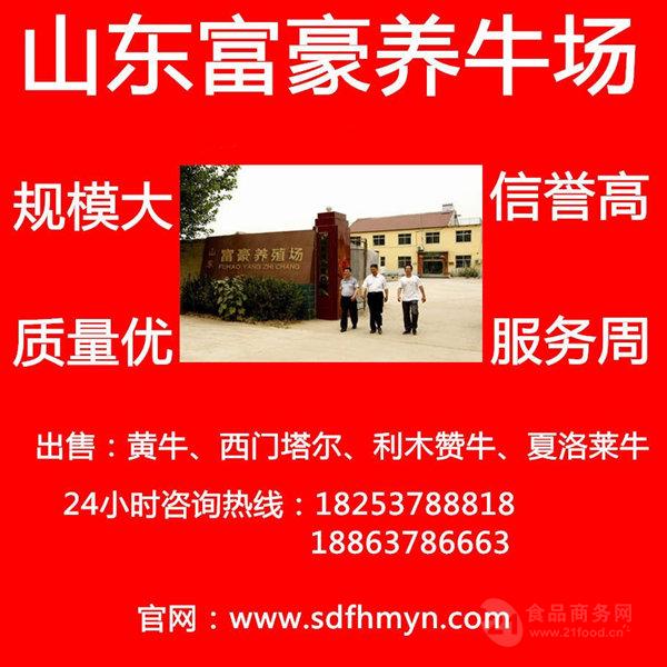 strong/p养牛技术大全视频/strong