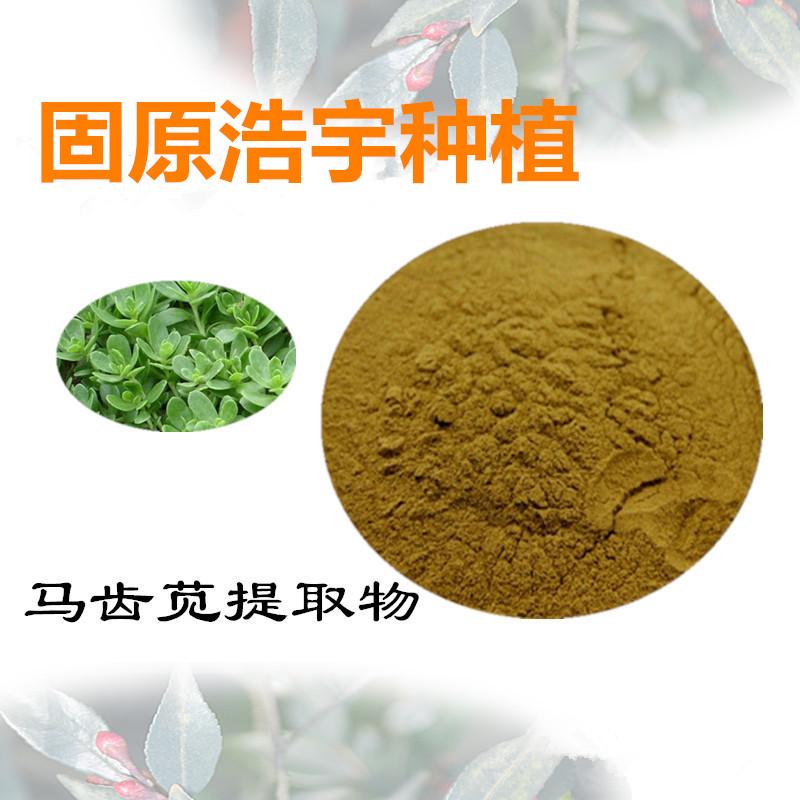 现货包邮马齿苋提取物10:1 假马齿苋提取物量大优惠
