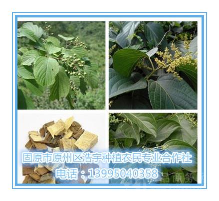 供应〕苦皮藤提取物10:1 比例 苦皮藤浓缩粉 水溶 量大优惠