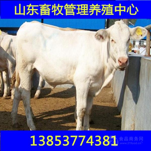 strong/p㶫ʺֳʲôţ/strong