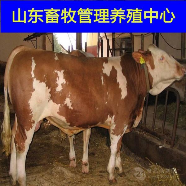 strong/p㶫ʺֳʲôţ/strong