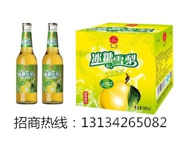 大瓶果啤招商代理/厂家新品啤酒批发