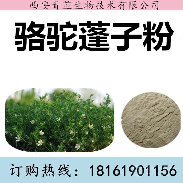 骆驼蓬子粉 骆驼蓬子浸膏 80.00/件