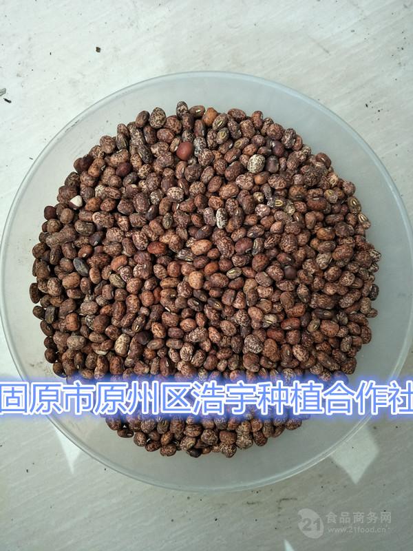 麻花豆 花花豆价格 虎斑豆产地宁夏 多花菜豆