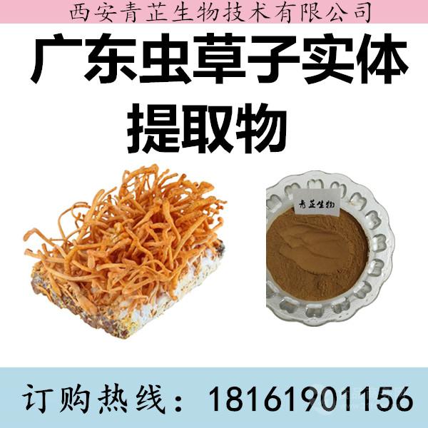 搜索:虫草子实体