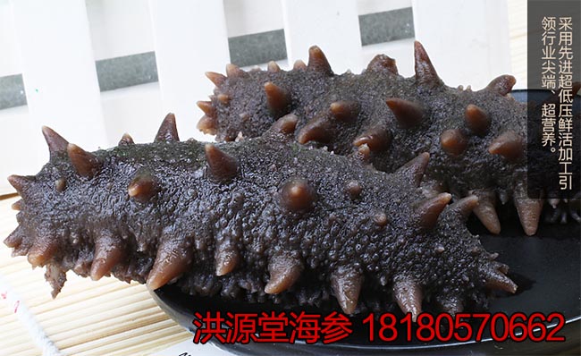 【大连野生孕妇到底钱一斤】干海参在哪买便宜维维燕麦片海参能喝吗图片