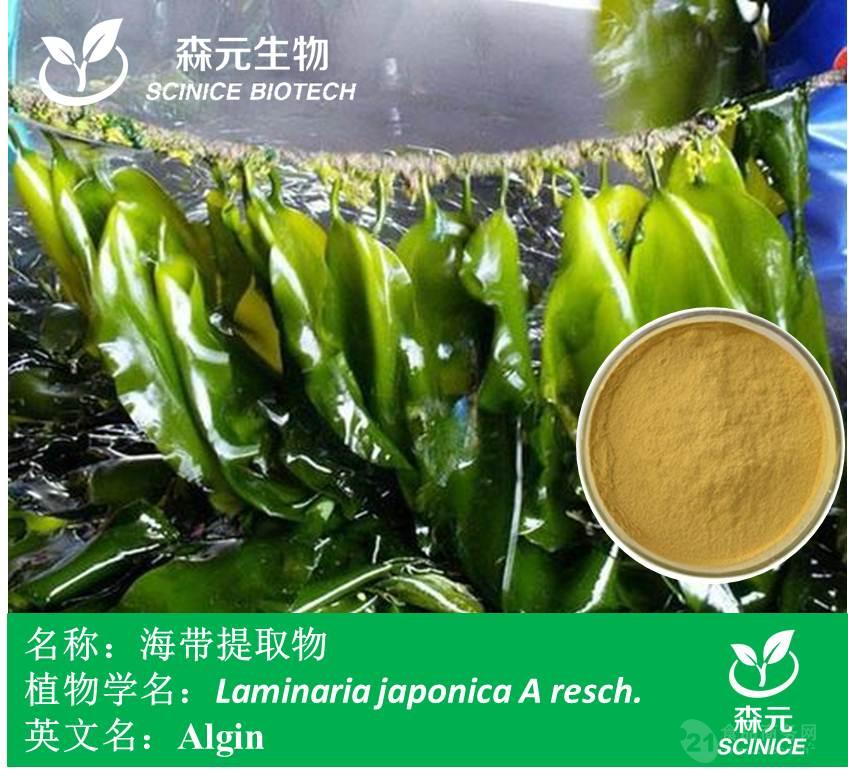 海带粉膳食纤维昆布粉褐藻多糖厂家1公斤起订