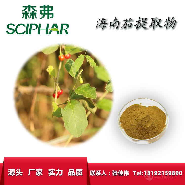 源头工厂海南茄提取物10:1品质保证 优质天然植物提取