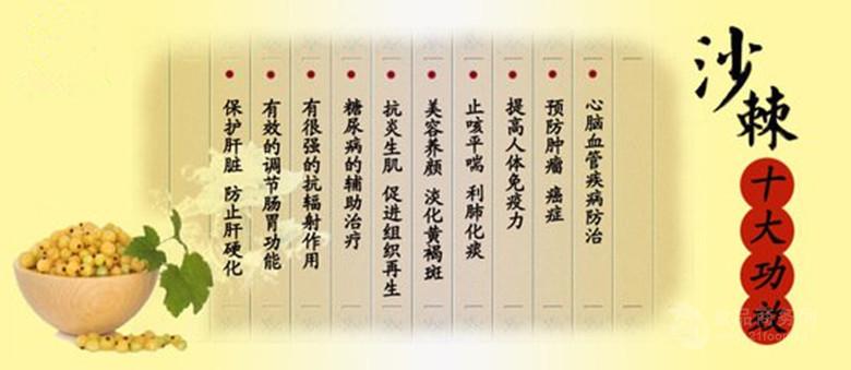 沙棘粉 沙棘黄酮 产地直销