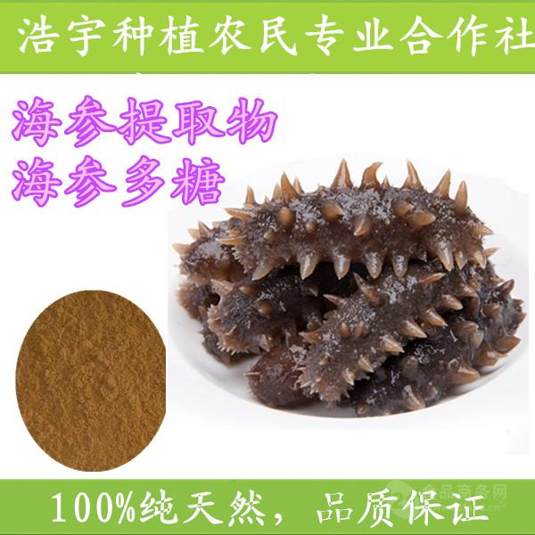 海参多糖  海参提取物