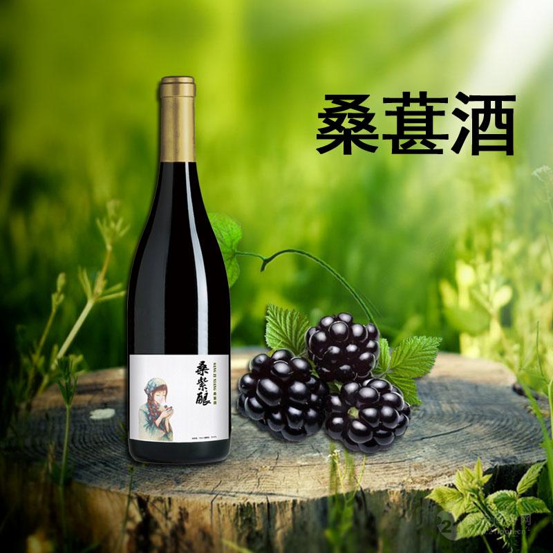 供应 大秦稀市 桑紫酿 养生桑葚果酒