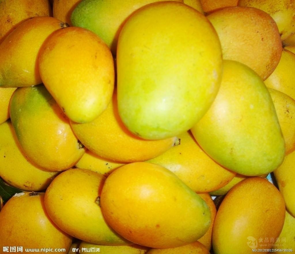 芒果提取物 芒果苷 杧果,檬果,漭果,闷果,蜜望,望果