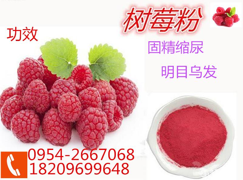 树莓粉,纯天然树莓汁粉 树莓浆粉(无任何香精色素)喷雾干燥