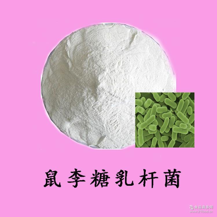益生菌粉 禾田现货供应食品级鼠李糖乳杆菌 乳酸菌冻干粉