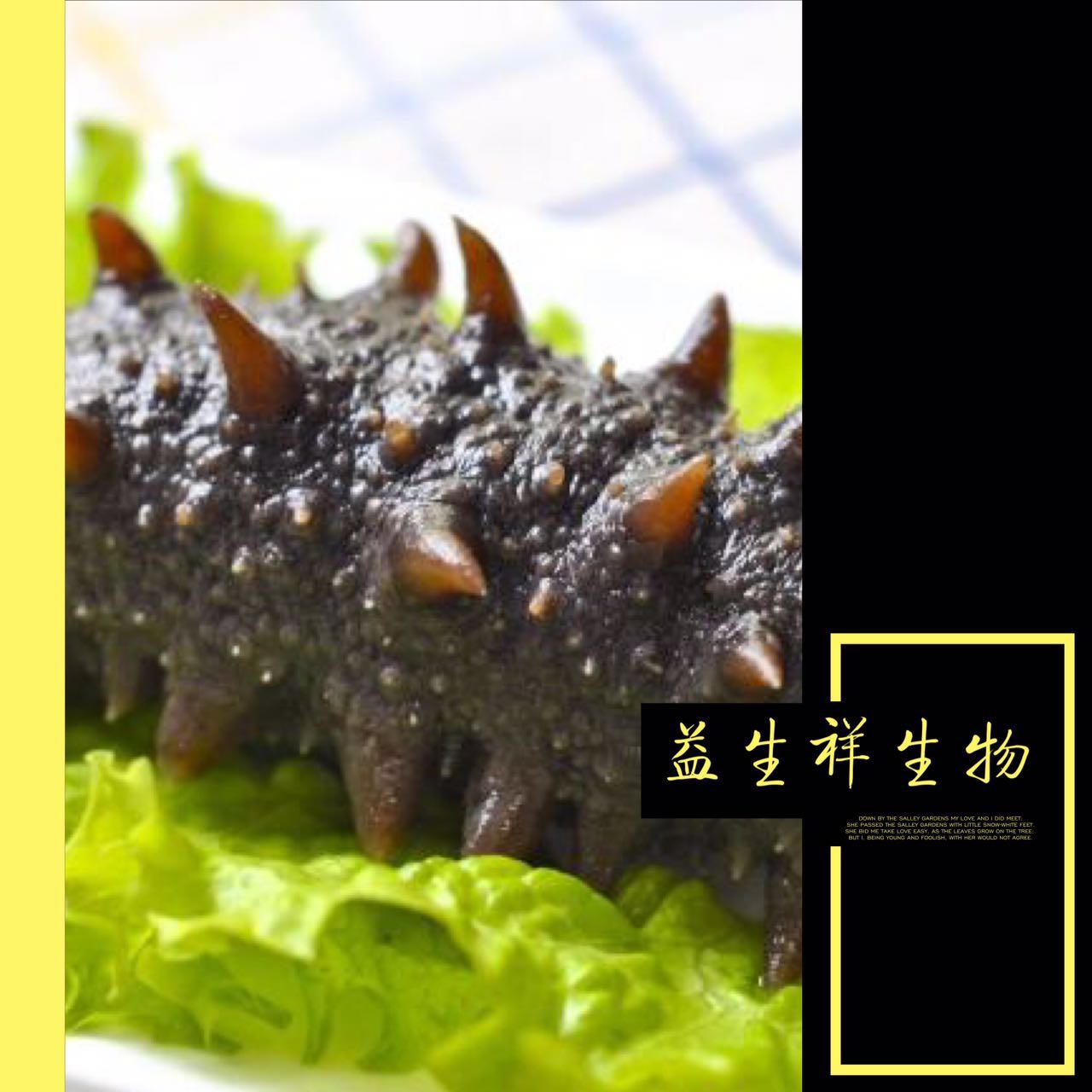 【产品名称】:海参肽粉提取物 【中文名称】:海参酶解粉、海参肽粉、水溶海参粉、水解海参粉。 英文名称:Enzymatic Sea Cucumber Powder 【海参肽粉提取物原料及来源】 天然野生的涠洲海参。主要来自北海所处的北部湾深海,为天然野生 的海参(刺参类)。其特点是海参皂苷(海参素)的含量要比人工 养殖的要高,海参蛋白的质量也比人工养殖的好。 【产品特点】 我司采用生物酶解技术,把纯净的野生海参通过生物酶水解后, 变成全部可溶于水的活性成分,经低温干燥后,再进行超微粉碎, 制成海参肽粉(或