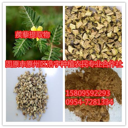 榼藤子提取物醇提象豆速溶粉合子浸膏粉榼子浓缩粉