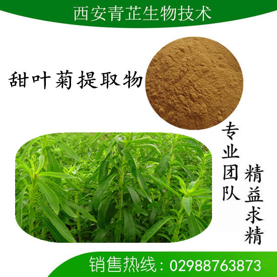 甜叶菊提取物厂家/甜叶菊糖甙厂家