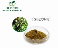 马齿苋提取物马齿苋粉