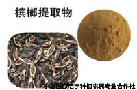 槟榔提取物 槟榔浓缩速溶粉 槟榔粉 槟榔浸膏粉 固原浩宇种植