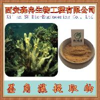 墨角藻提取物 10:1 喷雾干燥