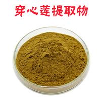 榄核莲 穿心莲提取物厂家现货
