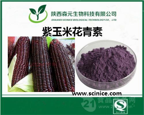 紫玉米花青素含量图片