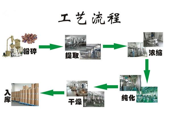 浸膏制作工艺流程图片