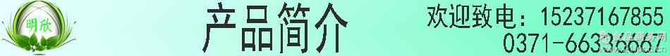 明欣