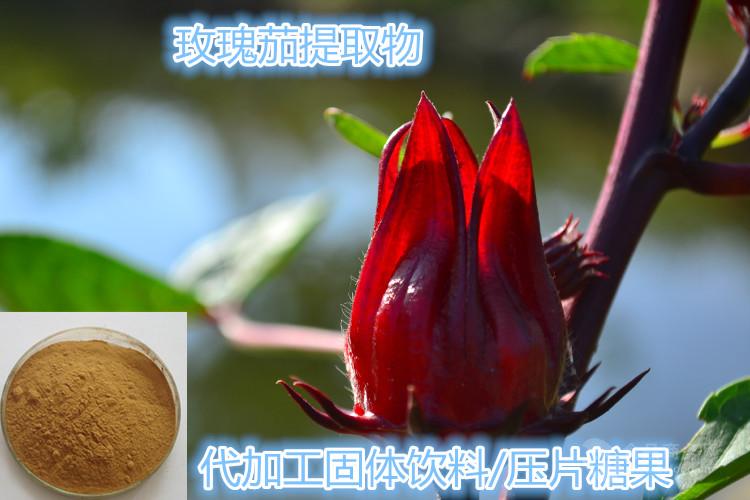 玫瑰茄提取物玫瑰茄粉代加工