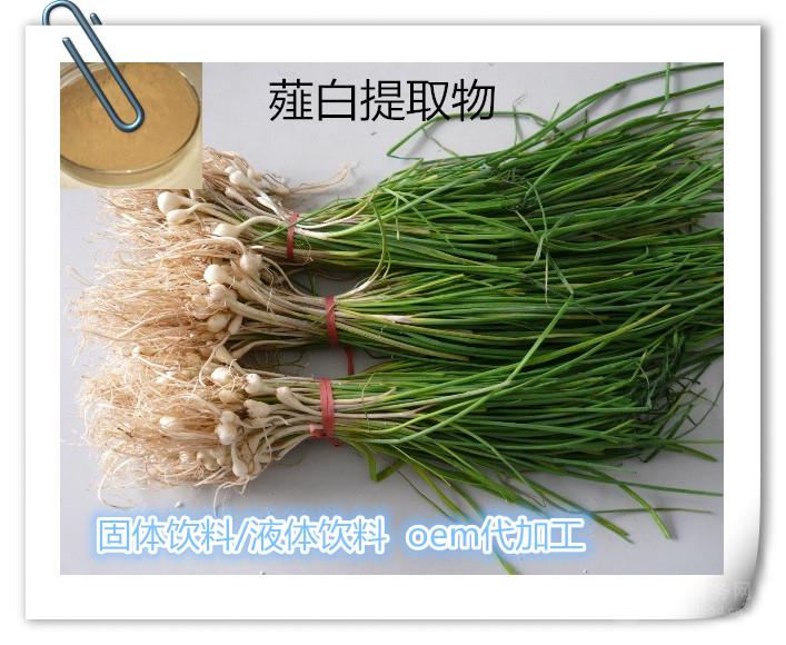 薤白提取物10:1药食同源厂家 代加工制,压片