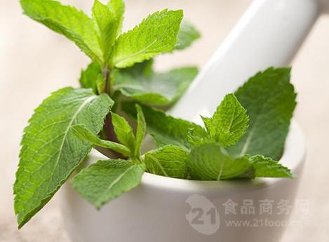 英文名称:mentha haplocalyx briq extract 提取来源:唇形科植物薄荷