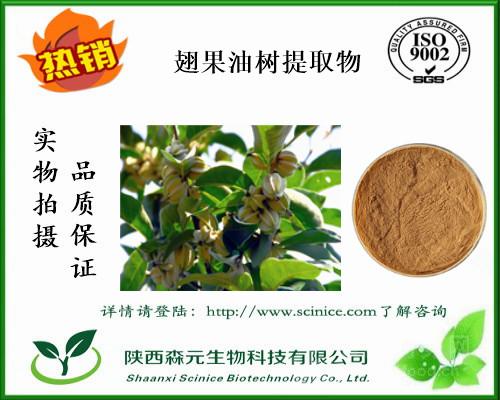 翅果油树提取物101翅果油树粉工厂1公斤包邮寄直销