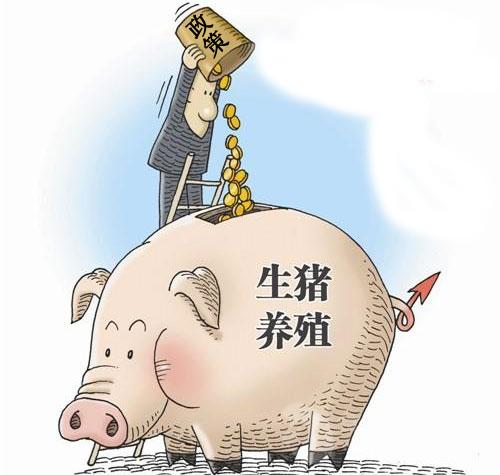 2016年广西养殖补贴 广西农村养殖政府扶持项目