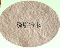 磷脂粉末作用与功效