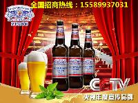 酒吧小瓶啤酒招淮南地区供应